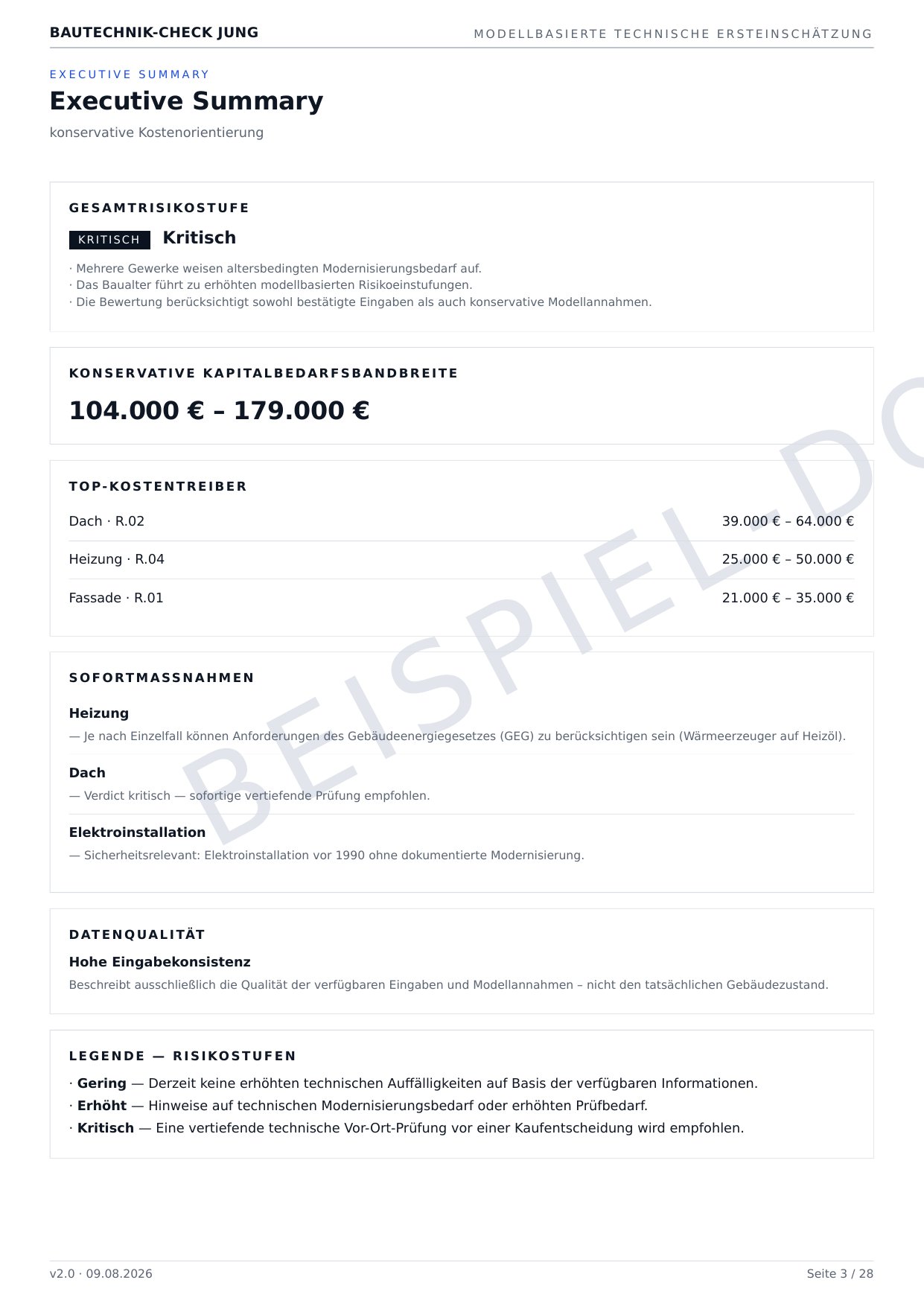 Beispielseite Executive Summary aus dem Dossier